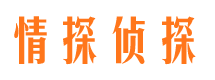 武胜情探私家侦探公司